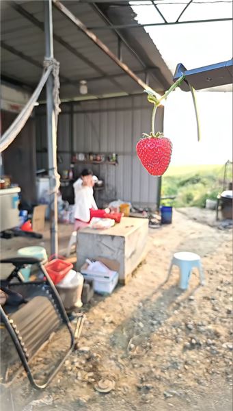 彈弓百發百中？今天一次性回答所有質疑