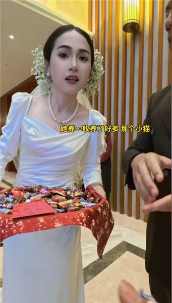 宣宣心里話：一百多只流浪貓背后，我的工作與現實開銷