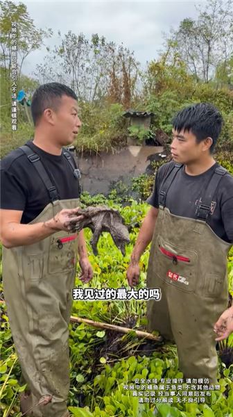 調侃我敢抓 “辣條” 就敢摸三相電？聽聽我的回應