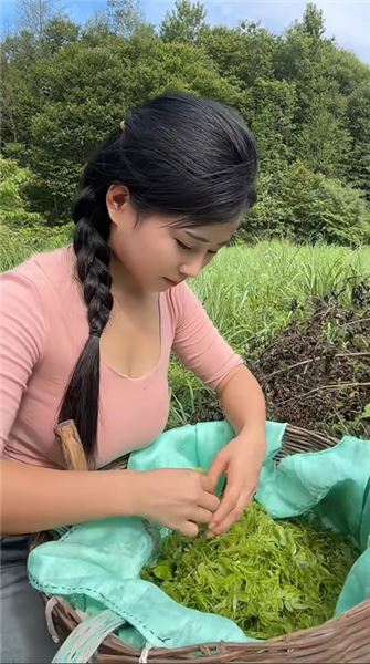 五點赴茶山勞作，原來農村姑娘的快樂，從來都不需要很昂貴