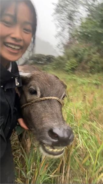百萬粉絲的山里女孩陳冬妹，走紅之后為何依舊留在大山？