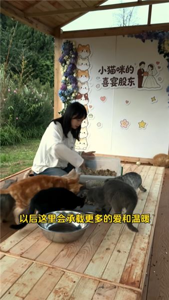 搬進了30多畝的新家，也給貓貓們的生活開了個好頭