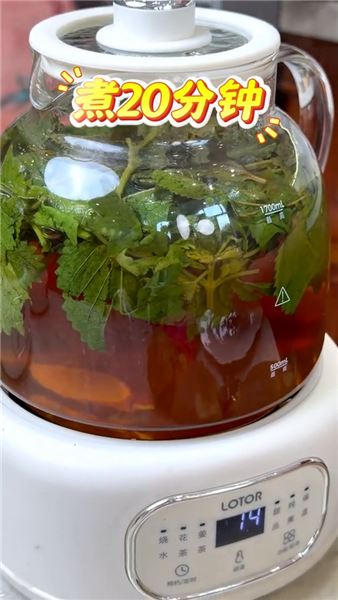 三伏空調人必備紫蘇甘草飲，簡單幾步煮出清爽夏日養生水