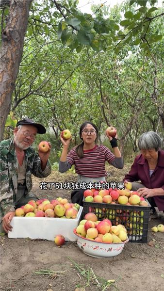留在老家種菜不是沖動，說說我的家人、規劃和心愿
