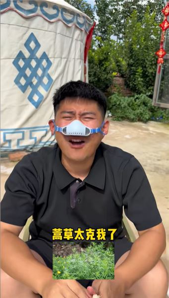 南方人多想拔干凈草原上的蒿草