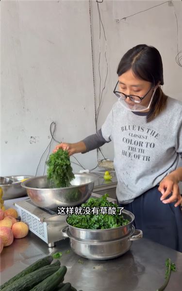 自家種一大片羽衣甘藍，今天實測：直接擺攤賣菜劃算，還是榨成飲料賺得多？