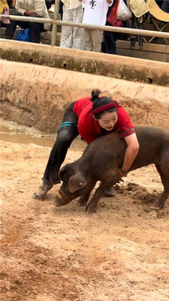 牛妹心里話：大家調侃我力氣大，豬看見我都躲著走