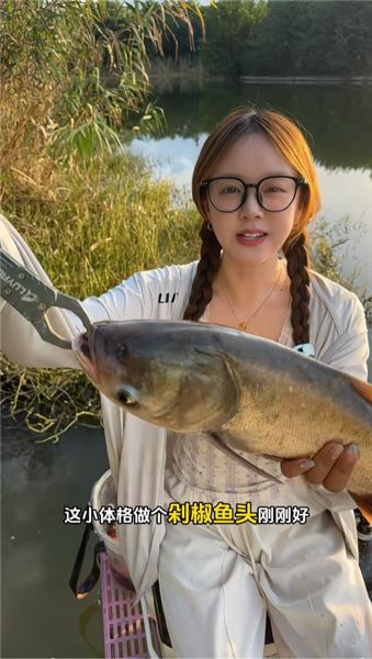 夏日野河抽鰱鳙實戰 ，跑三條仍收獲剁椒魚頭