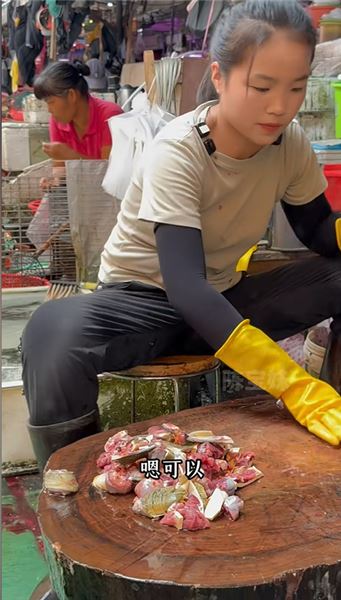 菜市場干貨｜跟著魚攤老板娘學挑選處理甲魚，家宴硬菜不再犯難