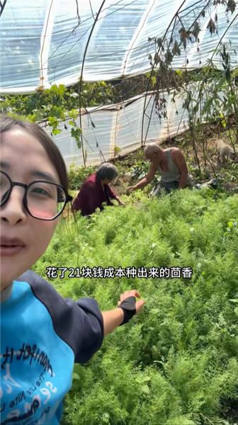 留在老家種菜不是沖動，說說我的家人、規劃和心愿