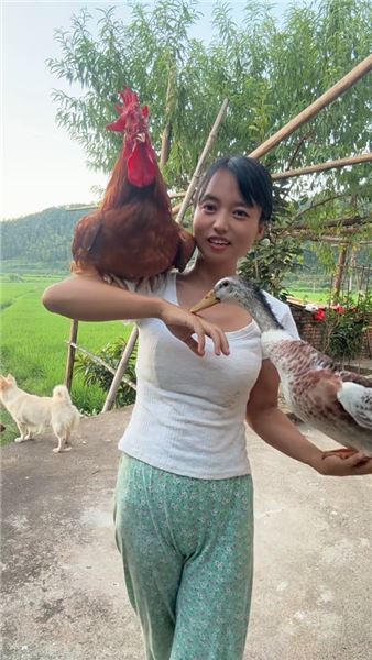 萬物皆有靈，一只能聽懂人話的大公雞和一只能聽懂人話的小鴨子