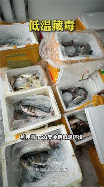 沉浸式體驗中緬邊境緝毒演練：三種花式藏毒，全部難逃邊境鐵卡