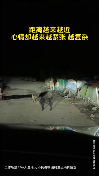 跨越1400公里去找20歲男保姆，卻得知這輩子都見不上他面了……
