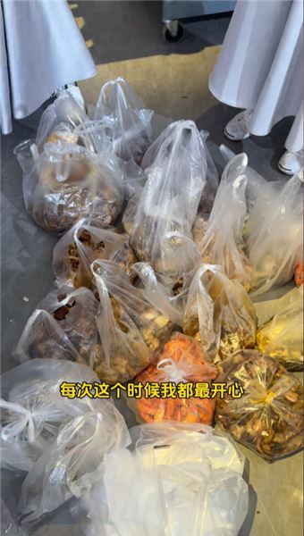 搬進了30多畝的新家，也給貓貓們的生活開了個好頭