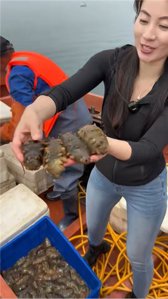 臨近中秋節，莎莉帶你實現海參自由