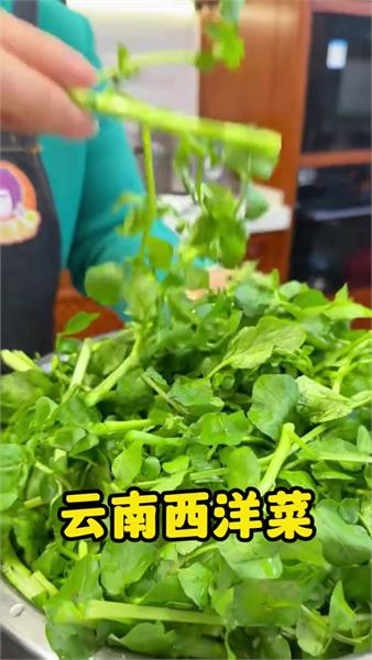 老廣快手家常菜 上湯西洋菜，湯濃奶白，全家都愛吃