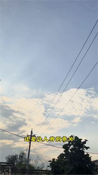 網上一直在追問豆豆身世，我遲遲不說，只想好好保護孩子