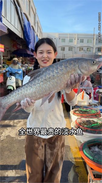 這些貴價海鮮，我自己捨得吃嗎？慢慢今天告訴你！