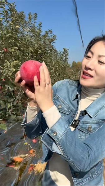 莎莉不只賣海鮮，今天帶你品威海蘋果