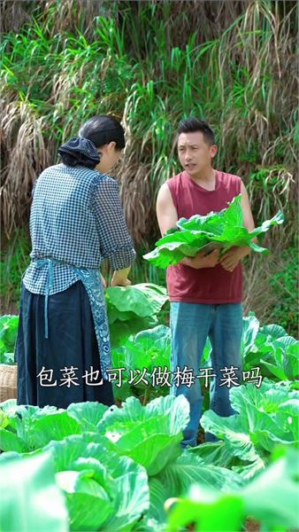 很少人知道！包菜也能做梅干菜，三蒸三曬自帶清甜