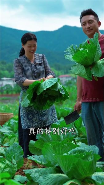 很少人知道！包菜也能做梅干菜，三蒸三曬自帶清甜
