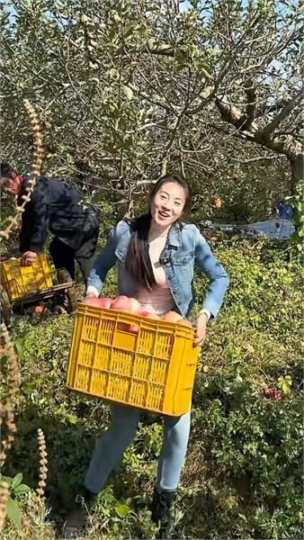 莎莉不只賣海鮮，今天帶你品威海蘋果