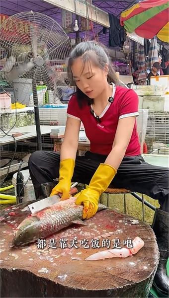 解開疑惑：賣魚小妹陳寶妹，回應網友各式提問
