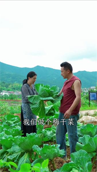 很少人知道！包菜也能做梅干菜，三蒸三曬自帶清甜