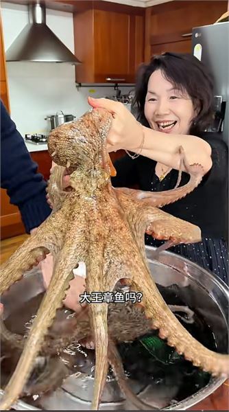新粉看過來｜帶你認識酒窩夫婦，東北姑娘的韓國家庭日常