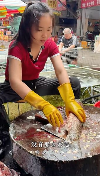 解開疑惑：賣魚小妹陳寶妹，回應網友各式提問