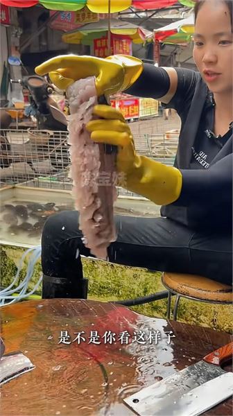 解開疑惑：賣魚小妹陳寶妹，回應網友各式提問